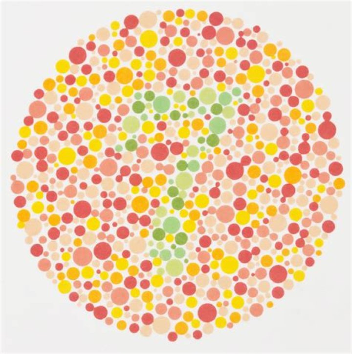 Are all animals color blind?