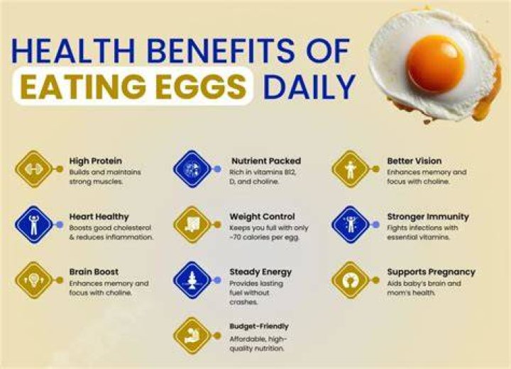 Are eggs good for cyclists?