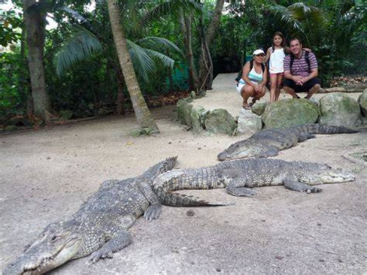 Are there crocodiles in Cancun?