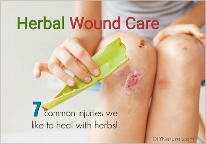 Can ginger heal wounds?