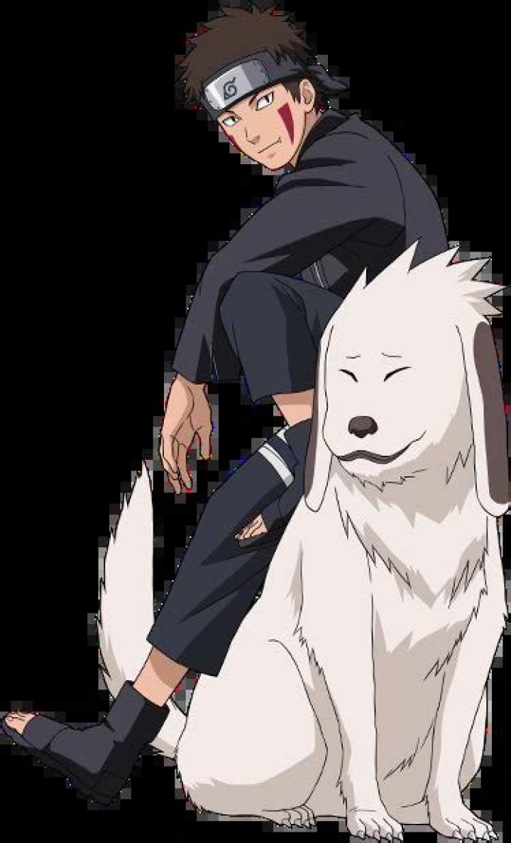 Can Kiba understand Akamaru?