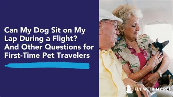 Can my dog sit on my lap during a flight Delta?