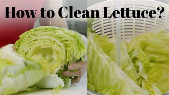 Can you use vinegar to clean lettuce?