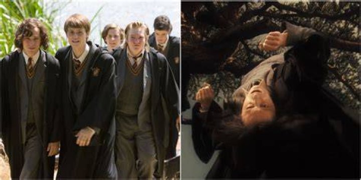 Did James Potter take off Snape's pants?