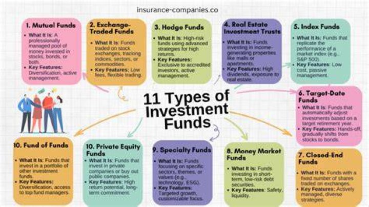 Do investors invest in ideas?