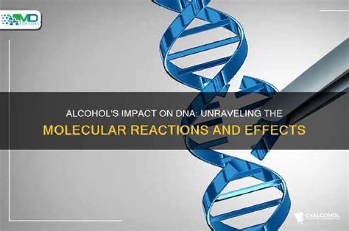 Does alcohol destroy DNA?
