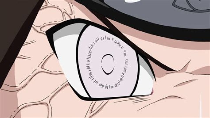 Does houki have Byakugan?