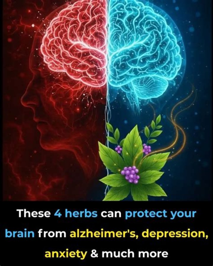 How can I protect my brain?