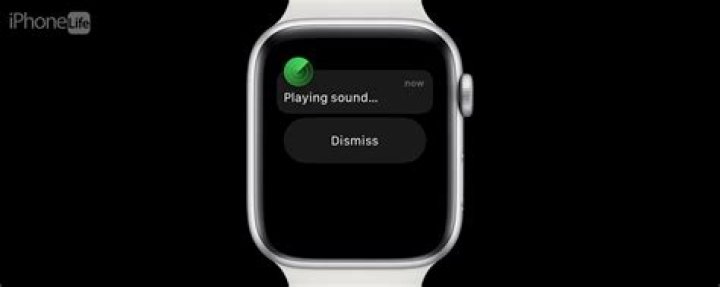 How do I find out the last time my Apple Watch was offline?