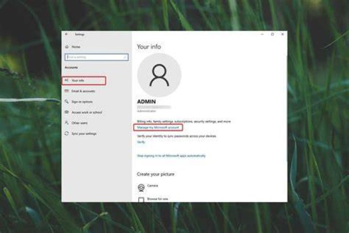 How do I write my username?