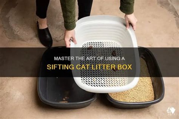How do you make a sifting box?