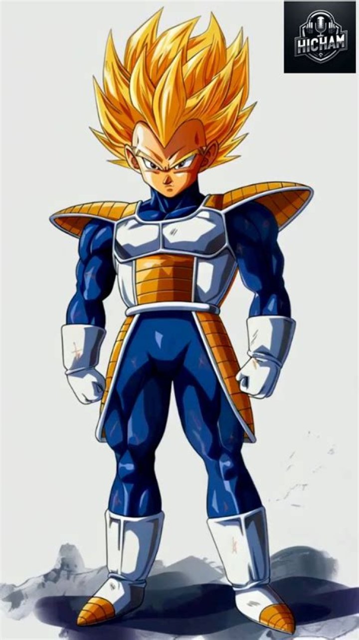 How old is Vegeta Super?