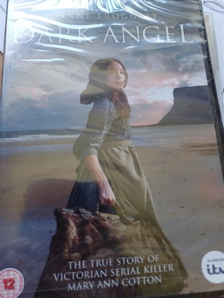 Is Dark Angel a true story?