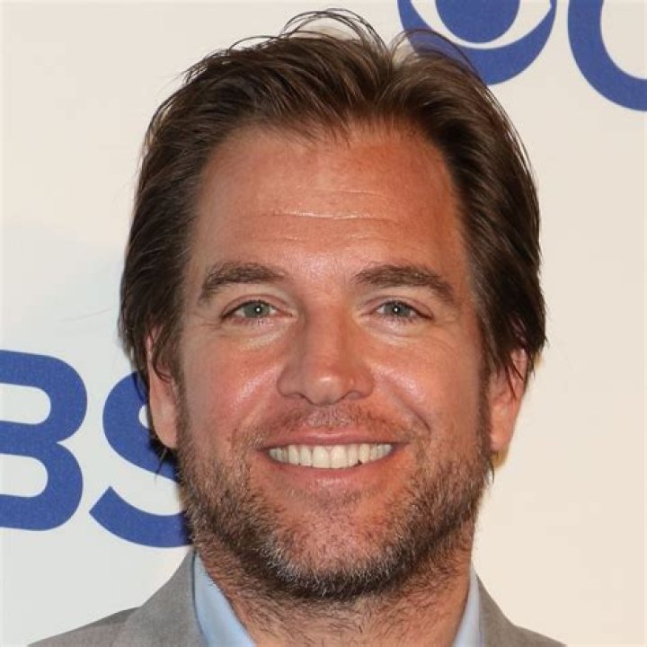 Is Michael Weatherly rich?