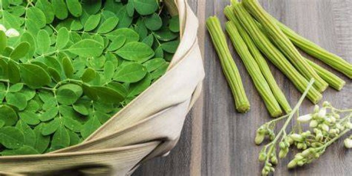Is moringa good for kidneys?