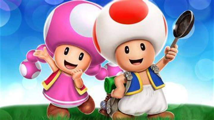 Is Toadette a boy or girl?