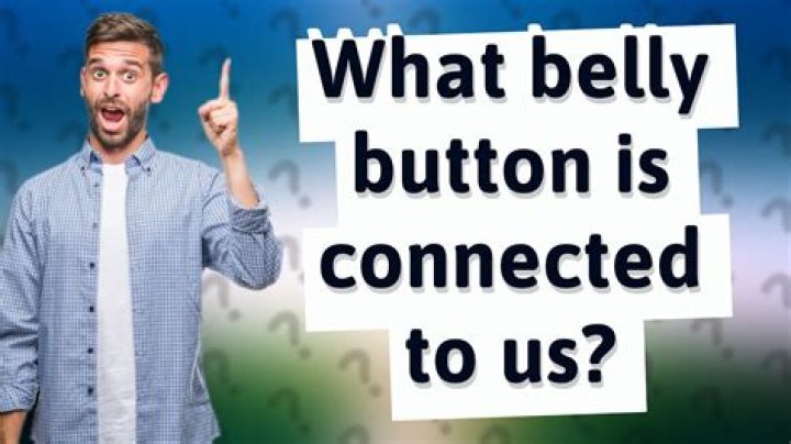 Is your belly button connected to anything?