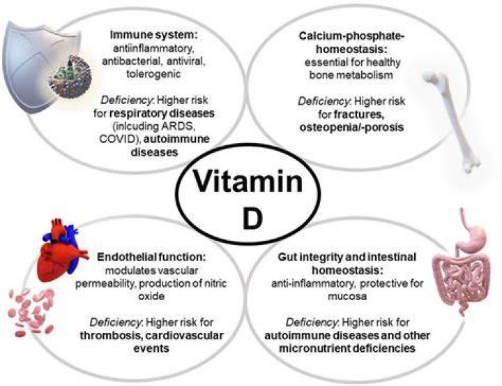 Should I take vitamin D if I have an autoimmune disease?