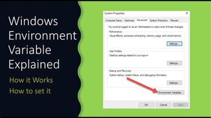 Should I use environment variables?