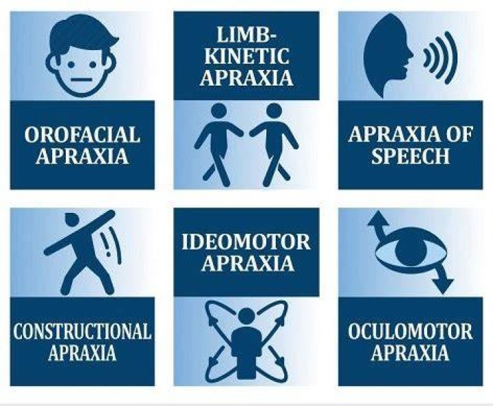 What are the 3 types of apraxia?
