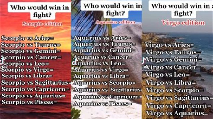 What are the zodiac signs that can fight?