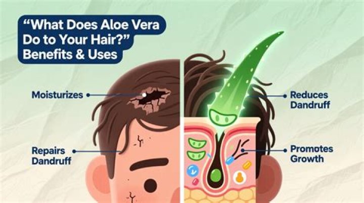 What does aloe vera do for dreads?