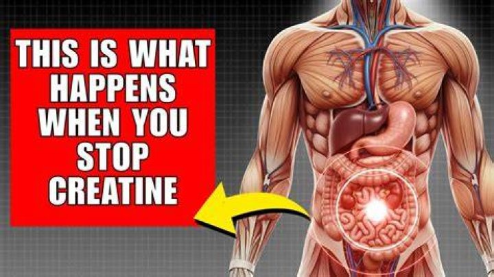 What happens when you quit creatine?