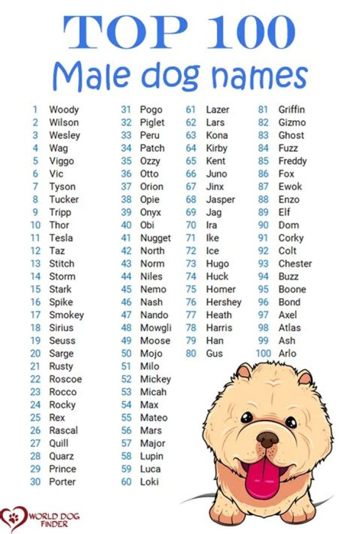 What is a good name for a boy dog?