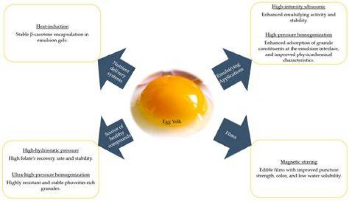 What is an egg yolk made of?