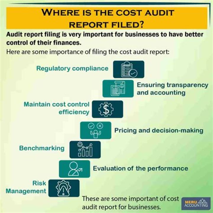 What is cost audit in cost accounting?