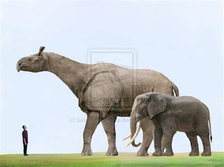 What is the largest extinct mammal?