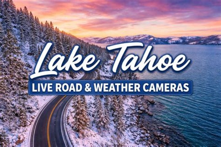What predators live in Lake Tahoe?