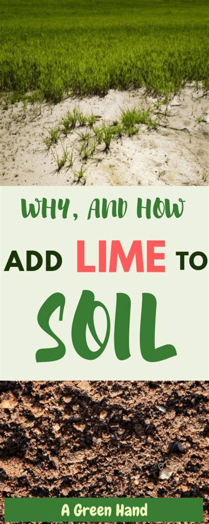What vegetables need lime in soil?