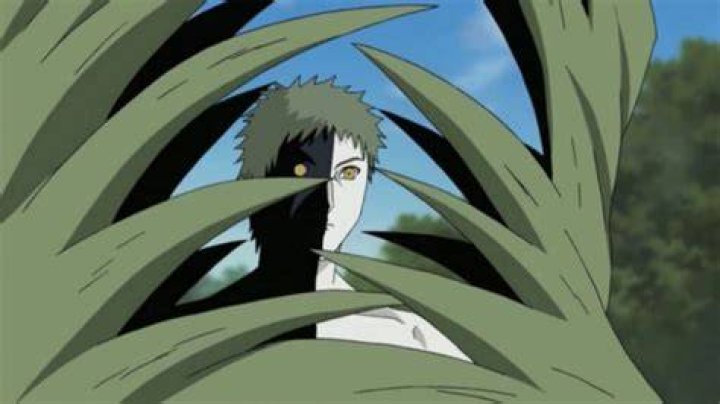 What village is Zetsu from?