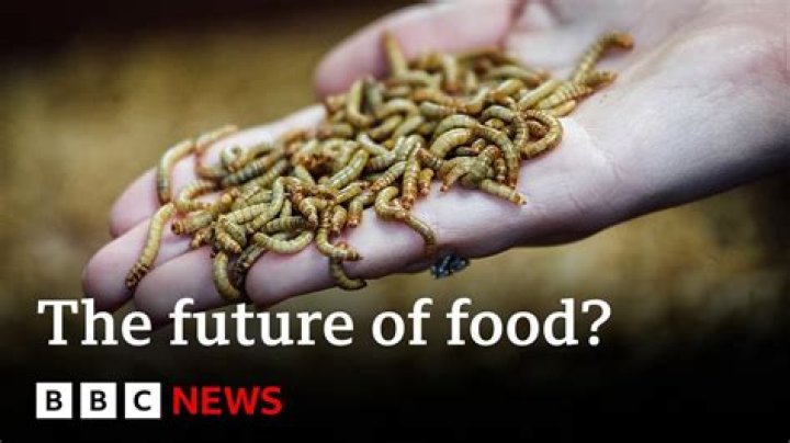 What will we eat in the future?