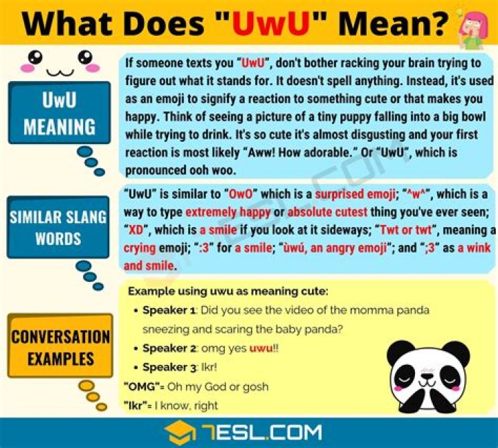 Whats means uwu?
