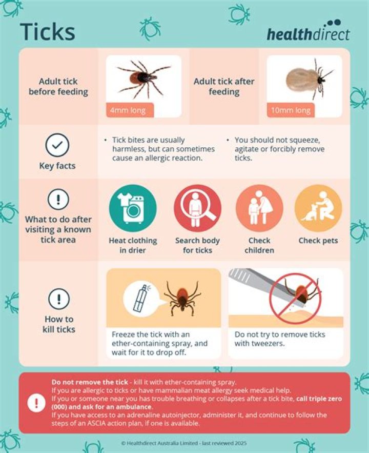 When should I go to the doctor for a tic?
