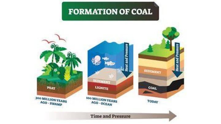 Where is coal got from?