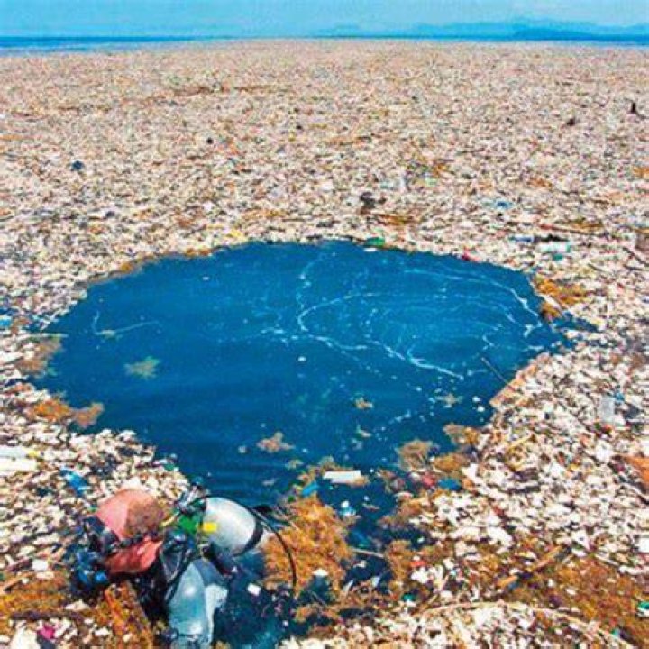 Who caused the Great Pacific Garbage Patch?