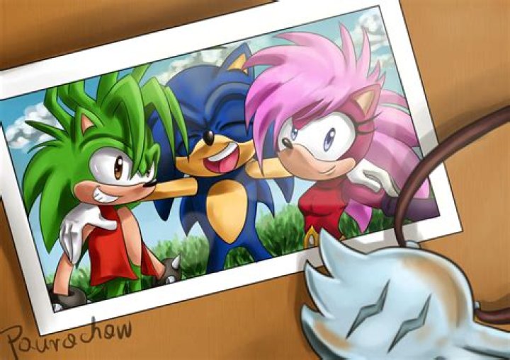 Who is Sonic's brother sister?