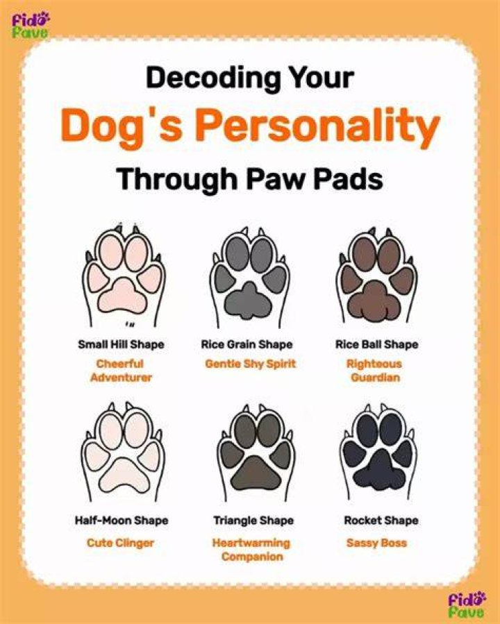 Why are dogs pads yellow?
