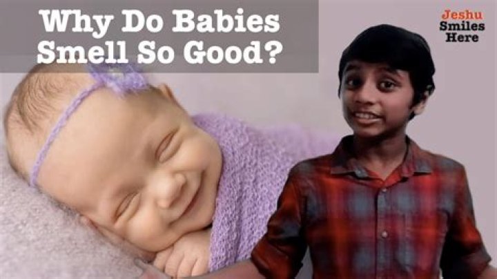 Why do babies smell their blankets?