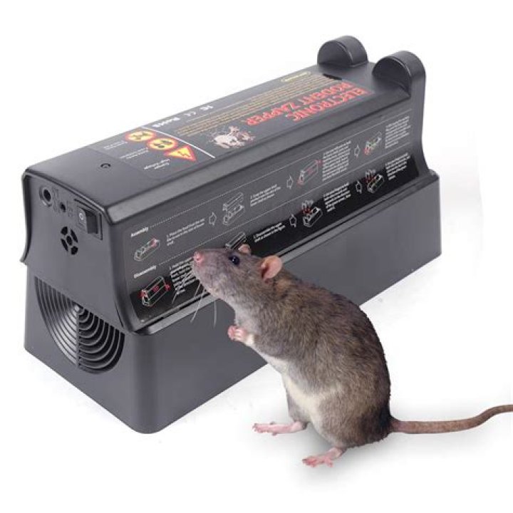 Will electric fence keep rats out?
